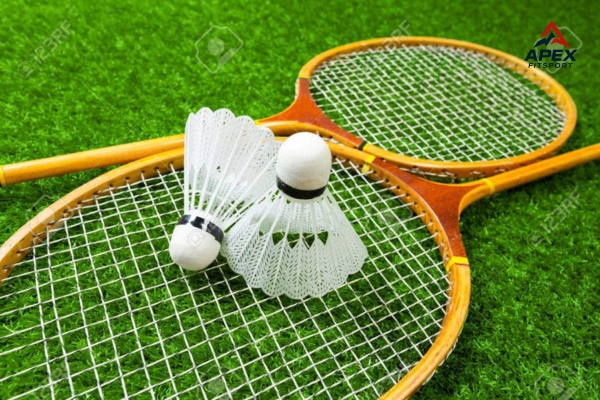 vot-cau-long-cho-nguoi-choi-trung-binh Lý do nên chọn vợt cầu lông ApexFitSport