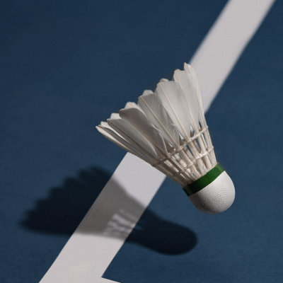 1-qua-cau-long-bao-nhieu-tien