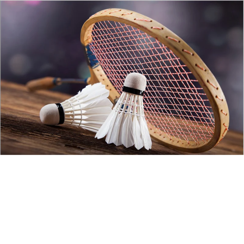 bo-cau-long-bao-nhieu-tien