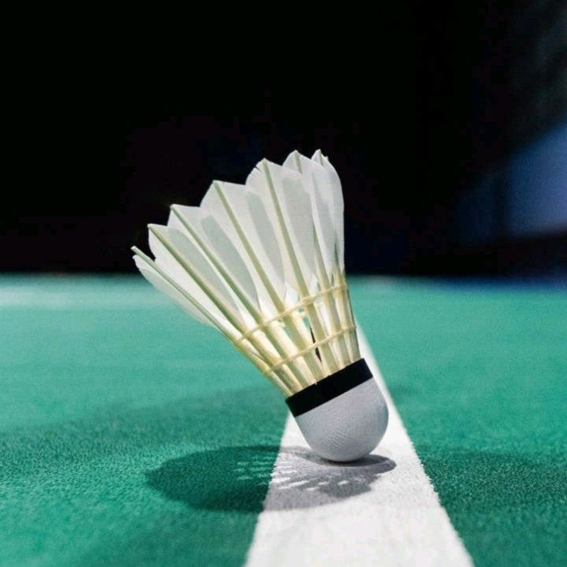 1-qua-cau-long-bao-nhieu-tien