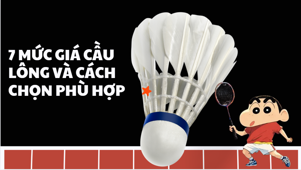 7 mức giá cầu lông và cách chọn phù hợp